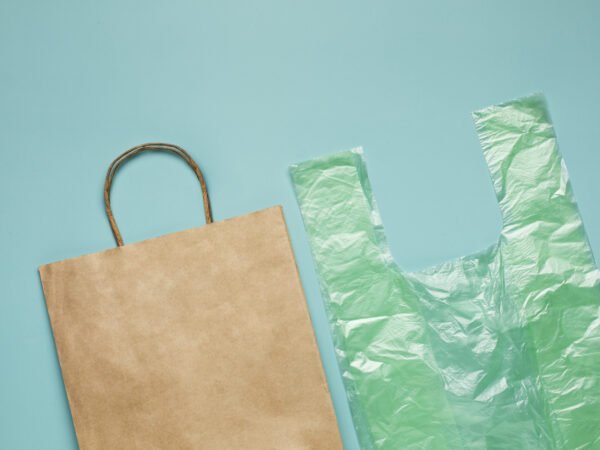 Environmental Sustainability: Are Custom Poly Shipping Bags a Green Choice?